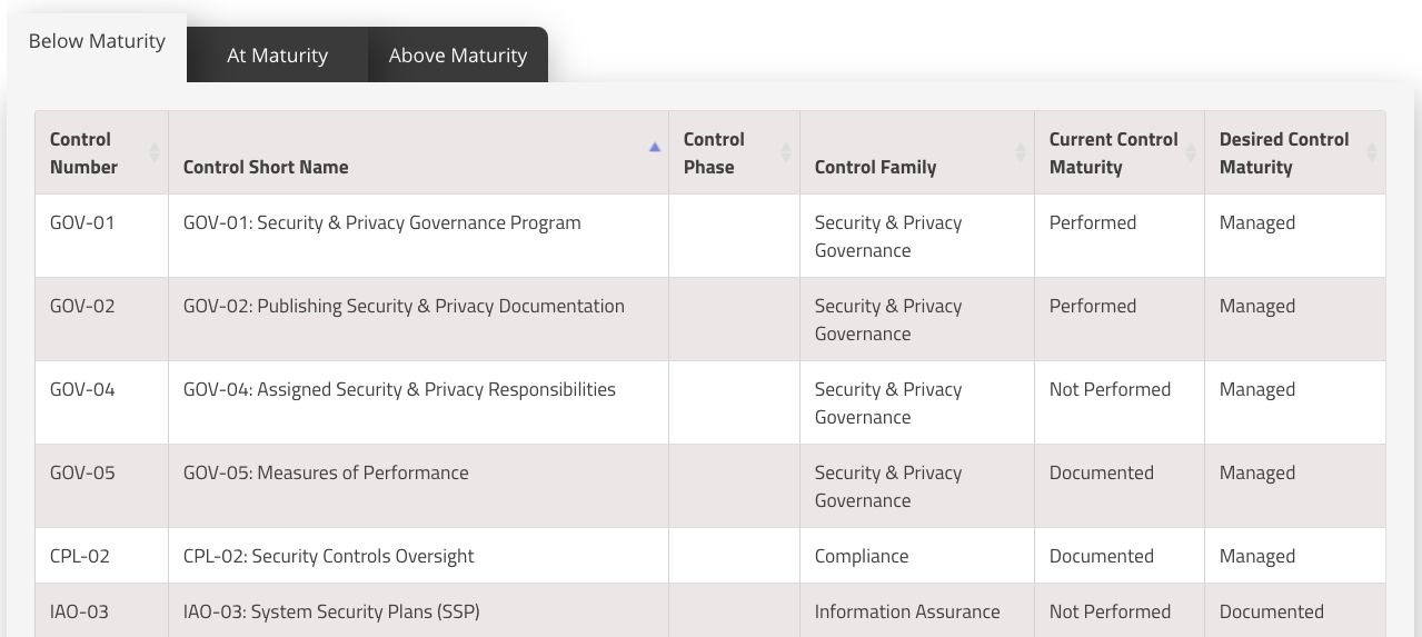 Control Maturity Level